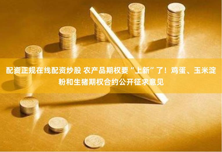 配资正规在线配资炒股 农产品期权要“上新”了！鸡蛋、玉米淀粉和生猪期权合约公开征求意见