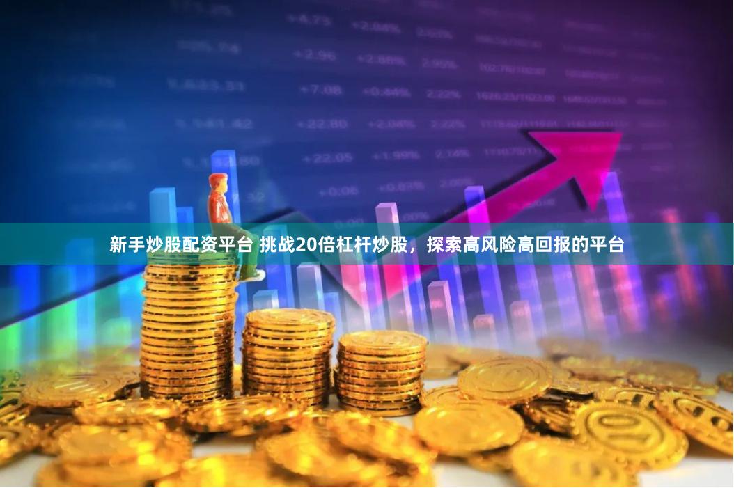新手炒股配资平台 挑战20倍杠杆炒股，探索高风险高回报的平台
