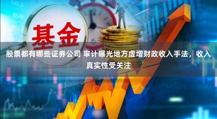 股票都有哪些证券公司 审计曝光地方虚增财政收入手法，收入真实性受关注