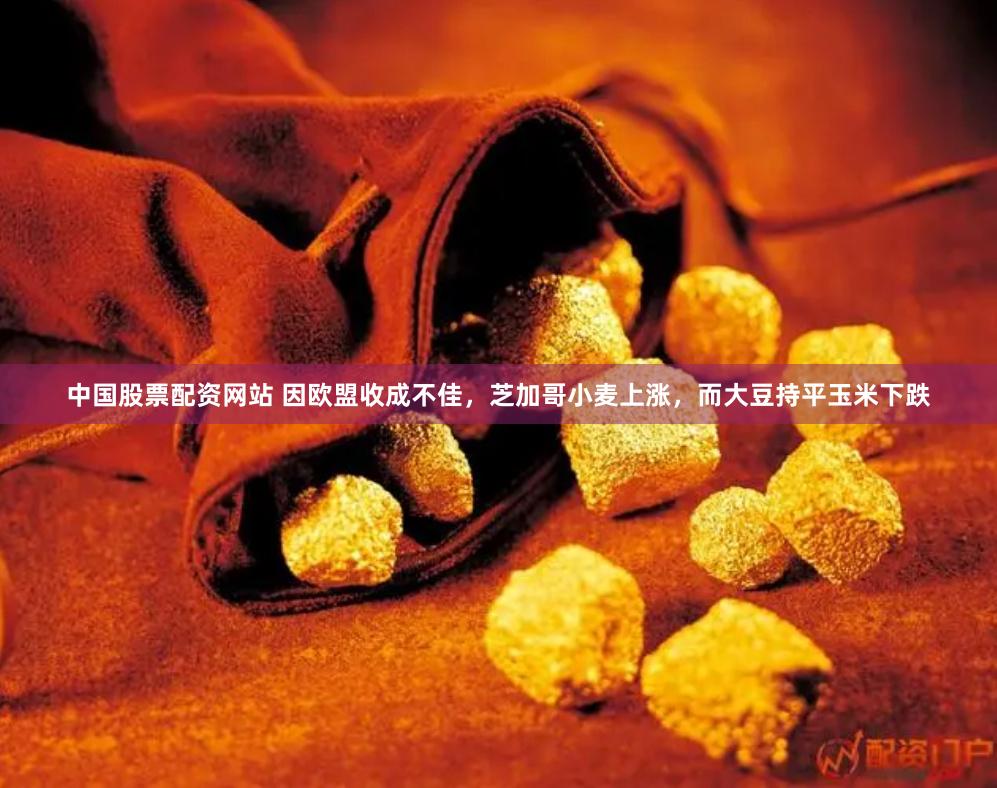 中国股票配资网站 因欧盟收成不佳，芝加哥小麦上涨，而大豆持平玉米下跌