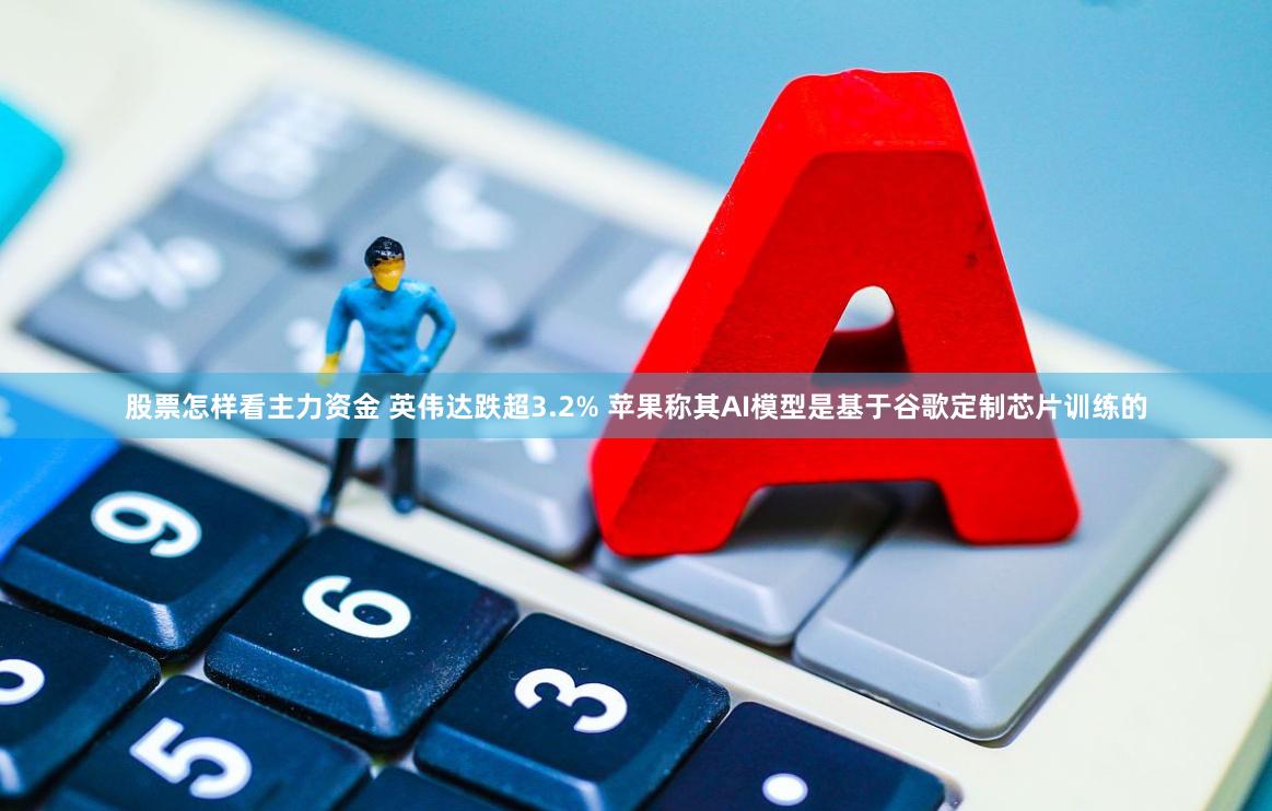 股票怎样看主力资金 英伟达跌超3.2% 苹果称其AI模型是基于谷歌定制芯片训练的