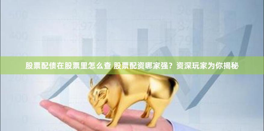股票配债在股票里怎么查 股票配资哪家强？资深玩家为你揭秘
