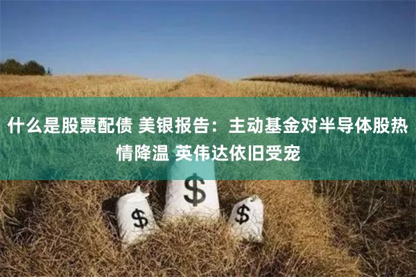 什么是股票配债 美银报告：主动基金对半导体股热情降温 英伟达依旧受宠