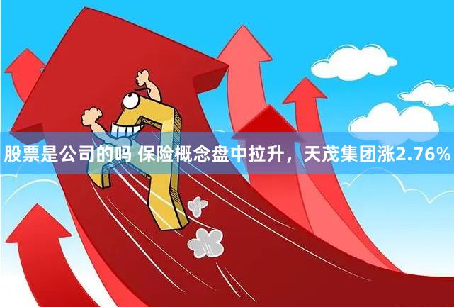 股票是公司的吗 保险概念盘中拉升，天茂集团涨2.76%