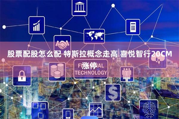 股票配股怎么配 特斯拉概念走高 喜悦智行20CM涨停