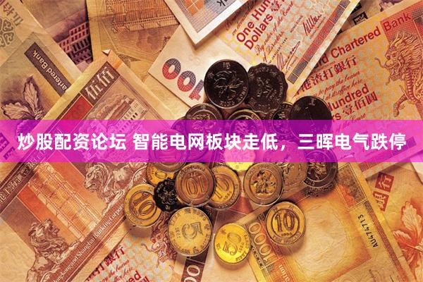 炒股配资论坛 智能电网板块走低，三晖电气跌停