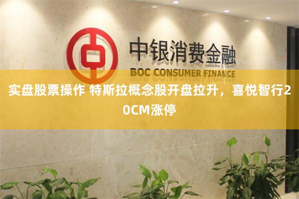 实盘股票操作 特斯拉概念股开盘拉升，喜悦智行20CM涨停