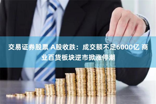 交易证券股票 A股收跌：成交额不足6000亿 商业百货板块逆市掀涨停潮