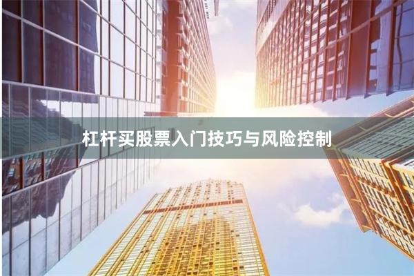 杠杆买股票入门技巧与风险控制